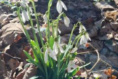 642507080_17986152878955243_7334341806313902226_n