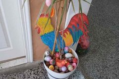 660033958_17991159545955243_2895093323068703544_n