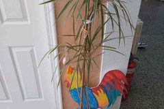 660535940_17991159527955243_1135357706055680107_n