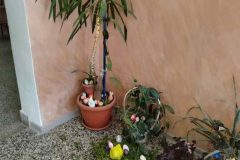 660563687_17991159446955243_7431964145327717995_n