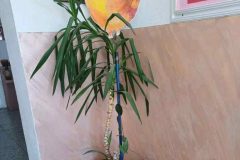 662538021_17991159569955243_3363661068887601967_n