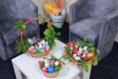 IMG_20240425_112246