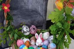 IMG_20240425_112253