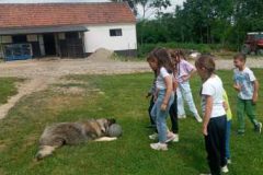 IMG-c725c1f017705c1b48e2544cb9c01264-V