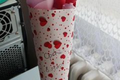 IMG_20260309_120523