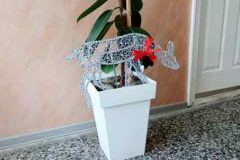 IMG_20251218_124456