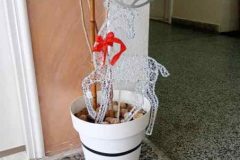 IMG_20251218_124506