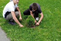 IMG_20240509_122223