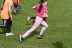 IMG-ad0b10574ec7e6f6b1c310216b90cff2-V