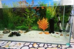 IMG_20250930_090245