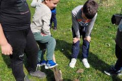 IMG-56e207888eafe471a6e614a2a6ba22d1-V