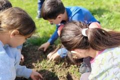 IMG-6cc93fbf0f0c02b35fbb7494a3852c0b-V