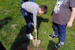 IMG-8bda7b3dd390d75226623b3c81d28619-V