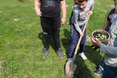 IMG-c52e8a3256facc2121b741b1dbd7cbca-V